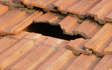 roof repair Hales Green